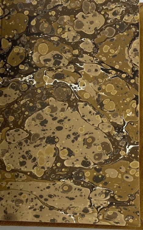 1196142_5b.jpg